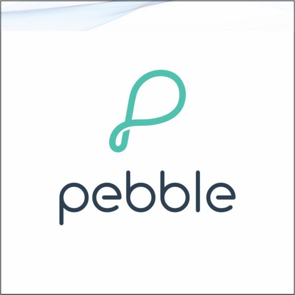 pebble