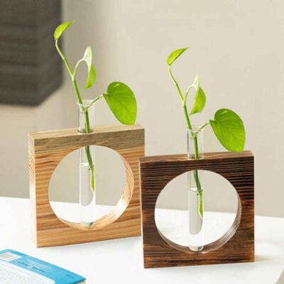 Carved Circle Glass Garden Test Tube Planters for Home Decor (Set of 2)
